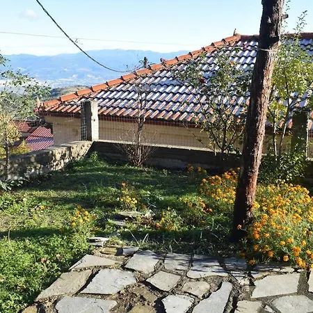 Shepherd's Koumaritsi Koumaritsion